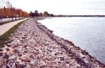 Looking east, upstream on the Rainy River. Russel marine railway was near the two shoreline pines in the distance.