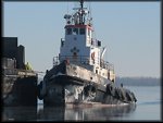 Florence M. in Sorel QC, Dec. 2009. Photo courtesy Terry Scott.